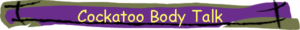 Cockatoo Body Talk