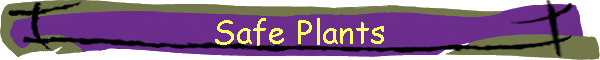 Safe Plants
