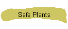 Safe Plants