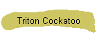 Triton Cockatoo