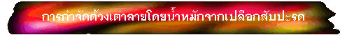 การกำจัดด้วงเต่าลายโดยน้ำหมักจากเปลือกสับปะรด