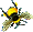 bee