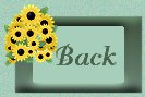 back icon