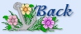 back icon