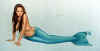 mer04_jhenslee.jpg (28395 bytes)