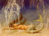 mermaidonsand.jpg (77728 bytes)