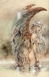 Luis Royo