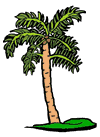 Rasta John's Website Designs