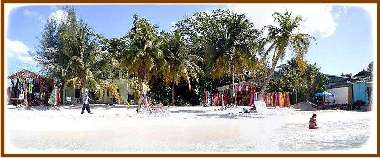 Top Beach Cabins Gift Shop
