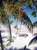 Top Beach Cabins Beach