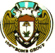 Aircraft Sponsored by The 100th BG (Heavy)