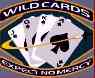 Aircraft Sponsored by The Wildcards