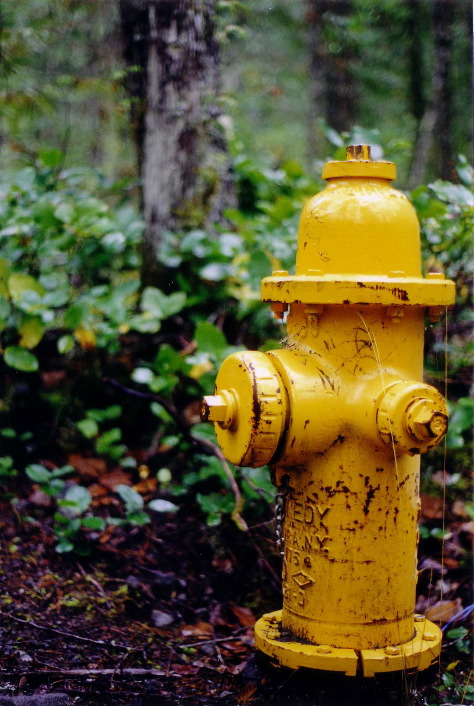 Fire-hydrant
