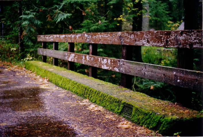 Pooh bridge 1967