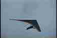 101798tagsaddlesouth3.jpg