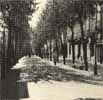 La Rambla (1926)