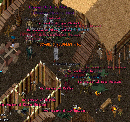 TBB at da Fort