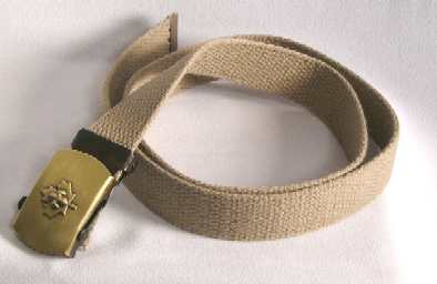 Cub Belt and Buckle