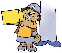 Beaver working hard carrying a box
