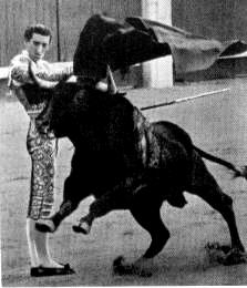 Death in the ring