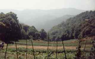 Montanas del Bierzo