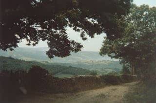 Camino a Triacastela