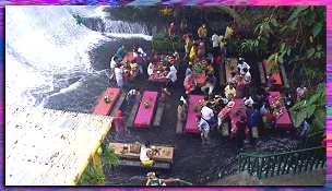 [Waterfall Dining]