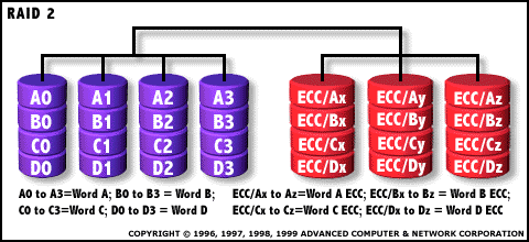 RAID Diagram: Level 2