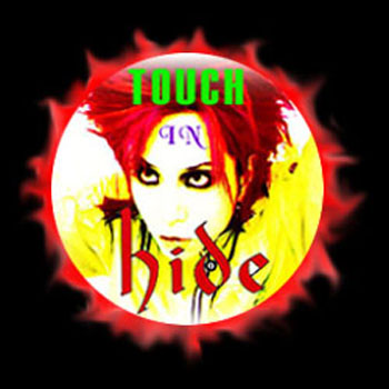 Touch in hide logo