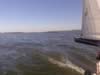 Sailing up Tuggerah Lake (22kb)