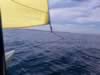 Heading back to Norah Head (31kb)