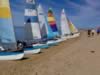 Toowoon Bay invaders (33kb)