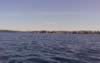 Out in the big ocean again (31kb)