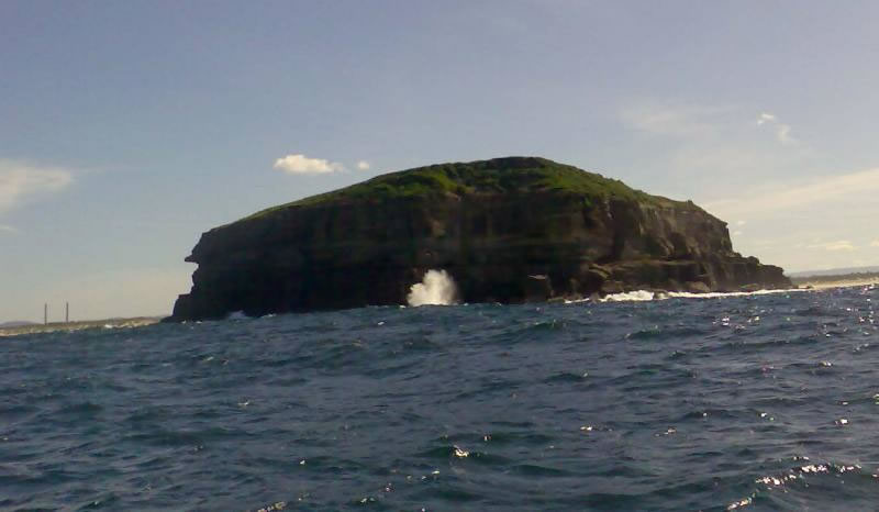 At last - Birdie Island