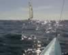 More swell (49kb)
