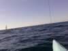 Swell sailing (38kb)