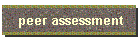 peer assessment