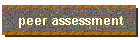 peer assessment