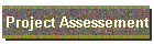 Project Assessement