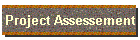 Project Assessement