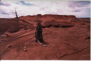 Desierto de Sarigua