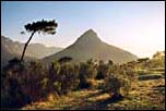 Lionshead, Cape Town