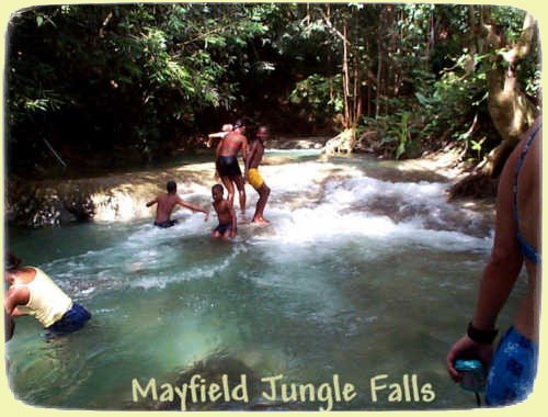Mayfield Jungle Waterfalls