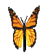 Ǫ
