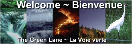 Welcome - Bienvenue 