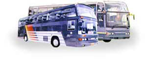 bus.jpg (13753 bytes)