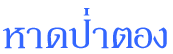 patong.gif (1190 bytes)