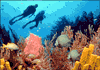 u01.gif (4065 bytes)