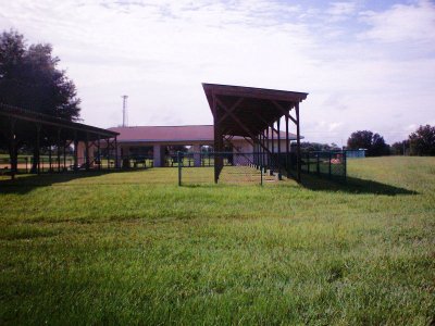 tow courts
