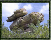 Duck on a Rock